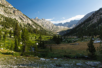 Fototapeta na wymiar Wide meadow and valley under tall cliffs in the high sierra
