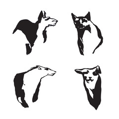 Black hand drawn dogs. Sketch. Vector isolated.