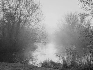 Dark foggy morning on the banks of a treelined lake.
