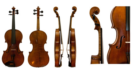 European classical violin © Oleg