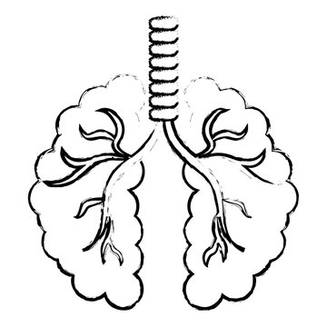 abstract lungs icon image vector illustration design 