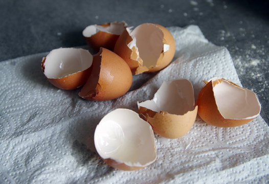 coquilles d'œufs
