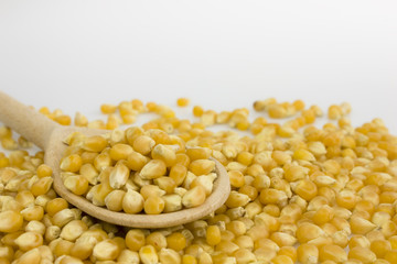 Corn grains pattern background