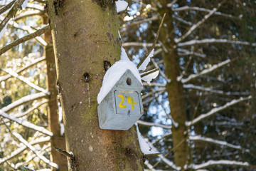 No. 24 currently free for rent in Winterwonderland National Park Eifel (Europe / Germany)
