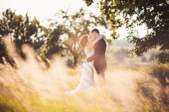 Toned photo, bride and groom hugging outdoor