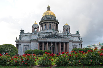 Fototapeta na wymiar St. Isaac's Cathedral and the growing of a rose on St. Isaac's s