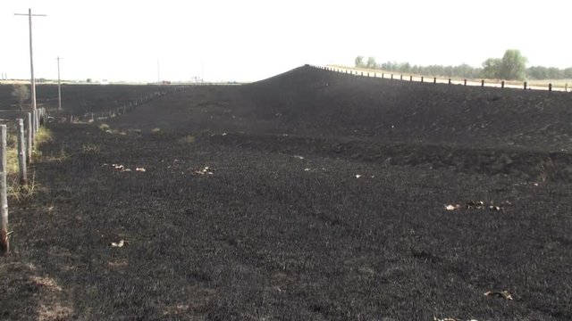 Grassfire Aftermath and Mop Up