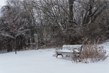 bench in park covered in ice and icicles after winter storm
