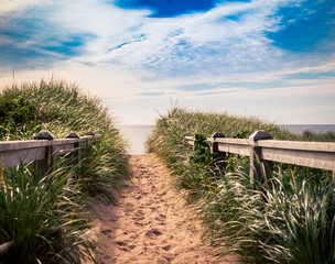 beach trail prince edward island © rusty elliott