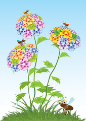 Obraz premium Background made up of flowers and plants. Herbs and flowers. Botany.