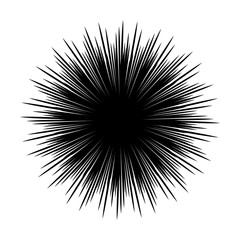 Silhouettes of sea urchin animals isolated black and white vector illustration minimal style