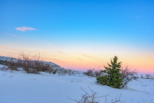 Colorful sunset in snowy field with juniper tree. Russia, Stary Krym.