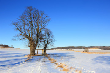 Kaplica na pustkowiu w otoczeniu drzew w zimowym krajobrazie. © Stanisław Błachowicz