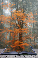 Panele Szklane  Piękna surrealistyczna alternatywna fantazja kolorystyczna Jesień jesień las lan