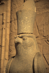 Statue of the Egyptian hawk headed god, Horus