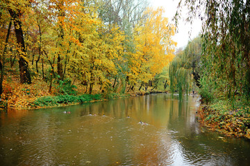Autumn Landscape. Park in Autumn. The bright colors of autumn in