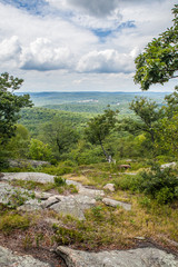 Fototapeta na wymiar Mountaintop landscape view of rock trees grass
