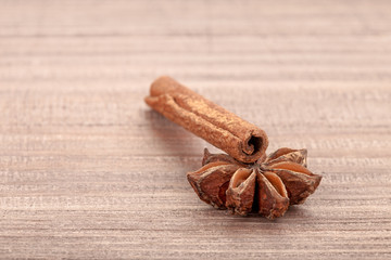 spicery cinnamon and anisetree on table.