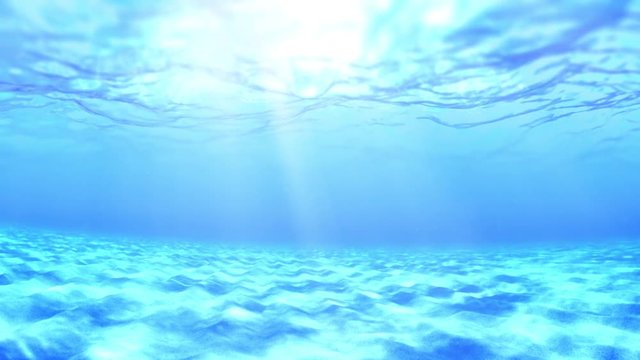 Underwater on a sunny day.