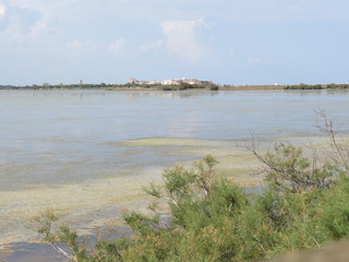 Pyrénées-orientales - Etang de Canet et de Saint-Nazaire