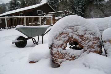 Firewood Covered in Snow