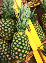Рineapples