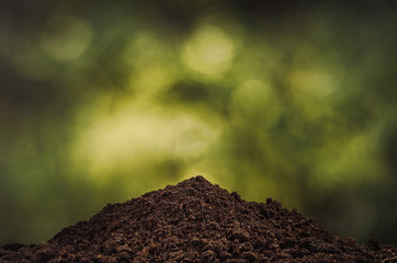 Planting a small plant on a pile of soil on green bokeh backgroud. Gardening backdrop for advertising.
