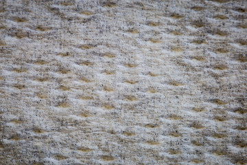 paper towel texture close up