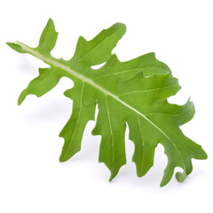 Close up studio shot of green fresh rucola leaves isolated on wh