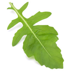 Close up studio shot of green fresh ruccola isolated on white ba