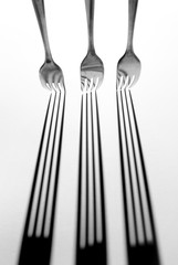 Forks Used for Dining Silverware