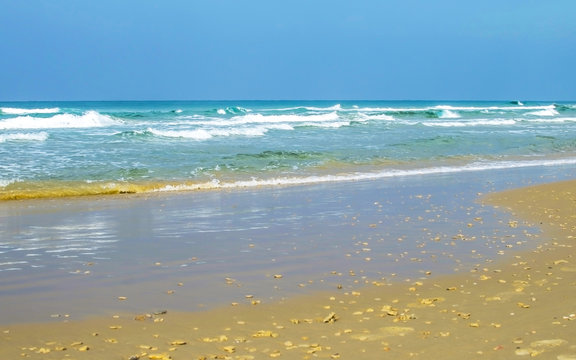 Sandy beach against the backdrop of sea