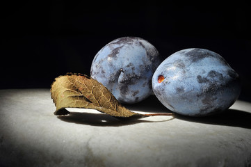 autumn vintage still life of natural plums © pavlobaliukh