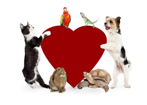 Group Of Pets Around Valentines Heart