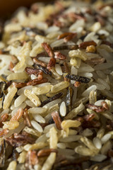 Assorted Organic Dry Mixed Rice