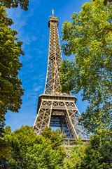 Eiffel Tower framed by trees against a blue sky in Paris, France