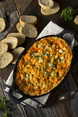 Homemade Buffalo Chicken Dip