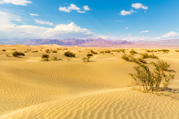 Sand dunes against mountains on background