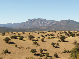 Cerro de la Bufa