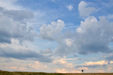 peace and quiet on the horizon, and all around are meadows and fields