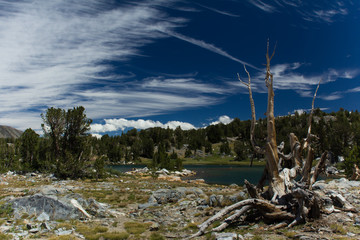 Pine trees and bare granite rocks lie under deep blue alpine skies in the high sierra