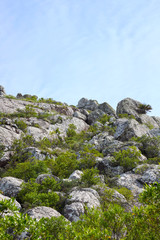 Slope of the mountain
