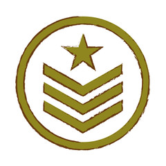 Military green emblem icon image, vector illustration design