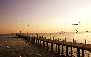 Naklejka na ściany i meble Seagull birds are flying during Sunset