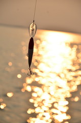 float to fish in the light of the setting sun. Fishing in the Baltic Sea during sunset