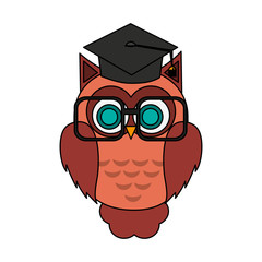 owl with graduation cap over white background. colorful design. vector illustration