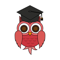 owl with graduation cap over white background. colorful design. vector illustration