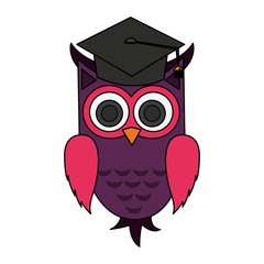 owl with graduation cap over white background. colorful design. vector illustration
