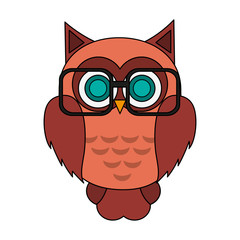 owl with glasses over white background. colorful design. vector illustration