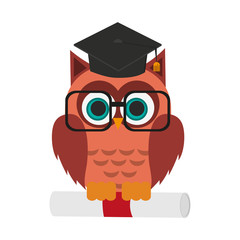 owl with graduation cap over white background. colorful design. vector illustration